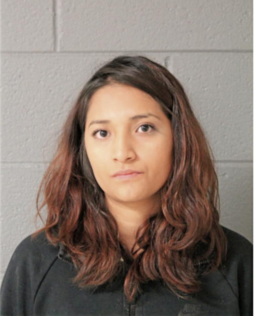 DIANA L RAMIREZ-MARTINEZ, Cook County, Illinois