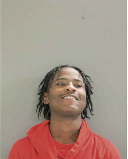 MICHAEL C RIDDLE, Cook County, Illinois