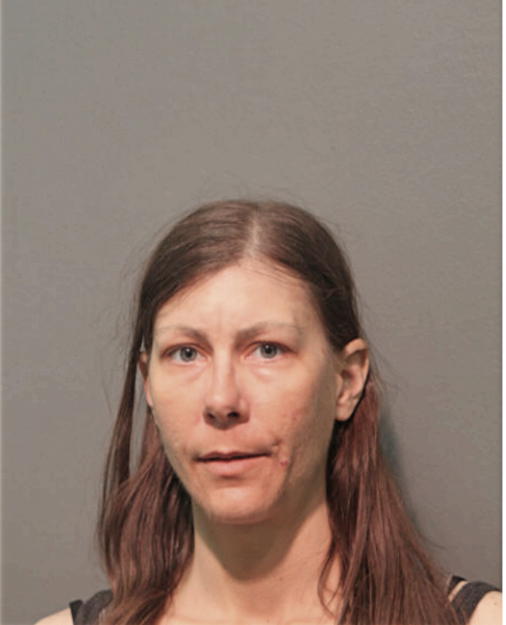 KRISTEN K RUNION, Cook County, Illinois