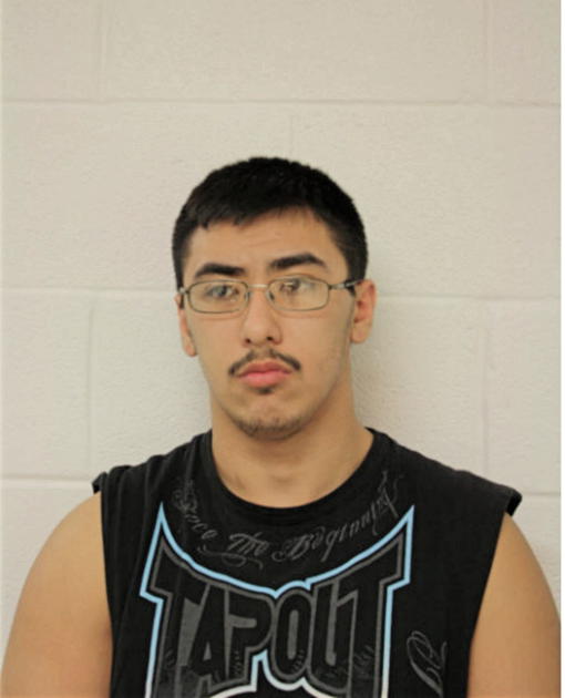 AARON J T HERNANDEZ, Cook County, Illinois