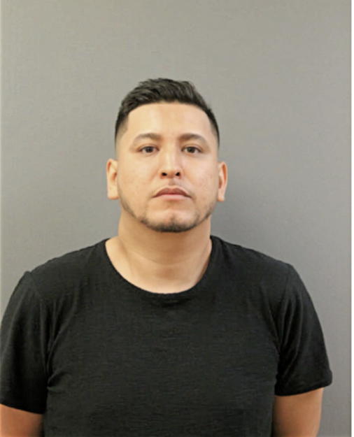 EDWIN S TELLEZ, Cook County, Illinois