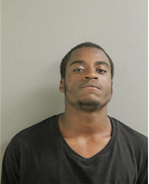 DONNELL L TERRY, Cook County, Illinois