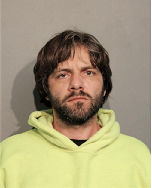 IOAN D VINEREAN, Cook County, Illinois