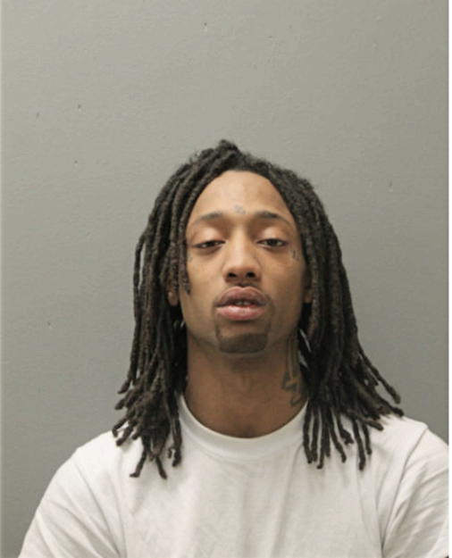 DEVIN J WARNICK, Cook County, Illinois
