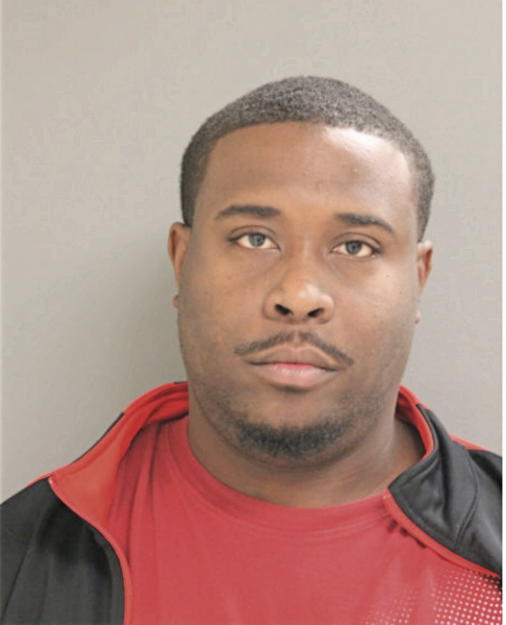 BRYAN C WILLIAMS, Cook County, Illinois
