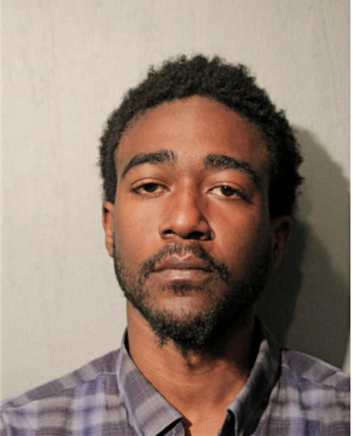 WALTER H WOODS, Cook County, Illinois
