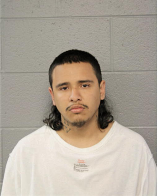 JESSE V ALVAREZ, Cook County, Illinois