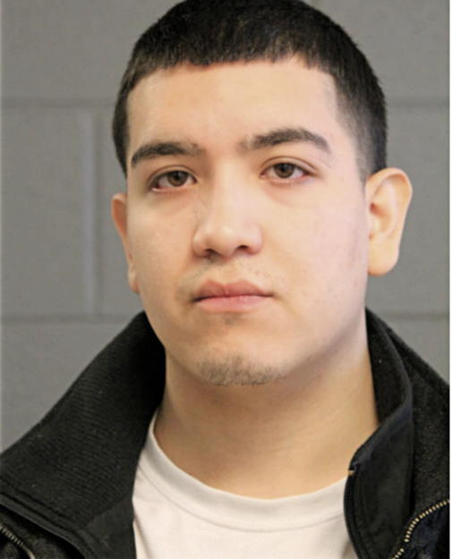 ESTEVAN L AVILA, Cook County, Illinois