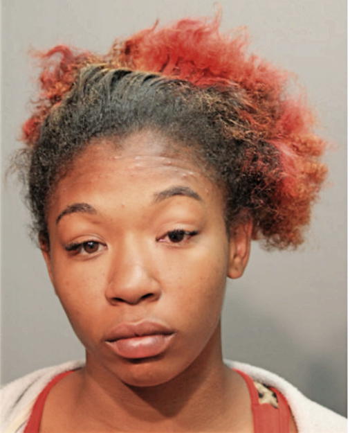 BRITANY M CUEVAS, Cook County, Illinois