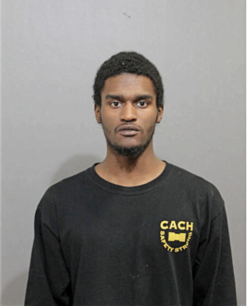 CHRISTOPHER J DAVIS, Cook County, Illinois