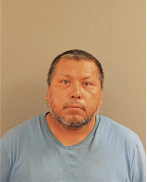 ARTURO DOMINGUEZ, Cook County, Illinois