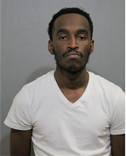 AARON C FALKNER, Cook County, Illinois