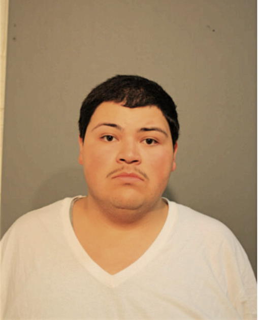 MISAEL FLORES, Cook County, Illinois
