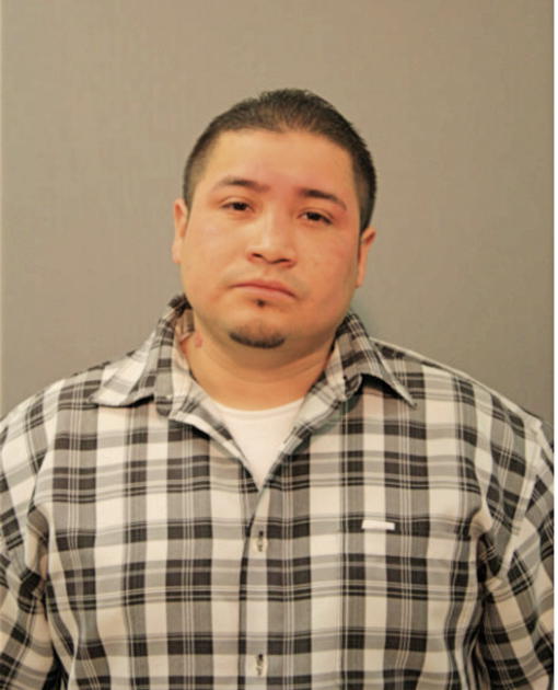 ROBERTO C GONZALEZ, Cook County, Illinois
