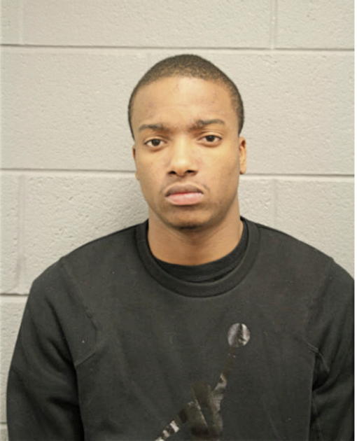 CHRISTOPHER W JOHNSON, Cook County, Illinois