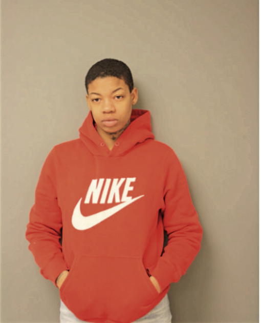 KARTESHA K JOHNSON, Cook County, Illinois
