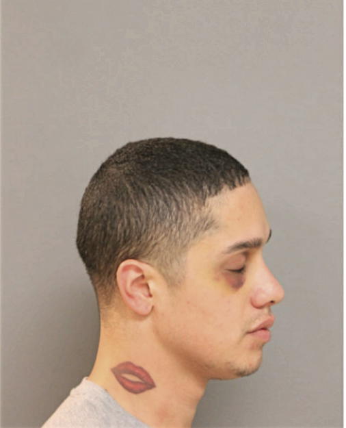 ARSENIO GARCIA JR, Cook County, Illinois