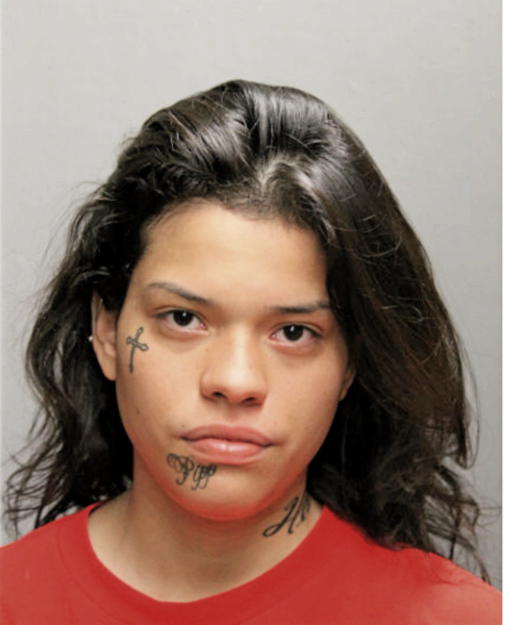 KATYA F LICEA, Cook County, Illinois