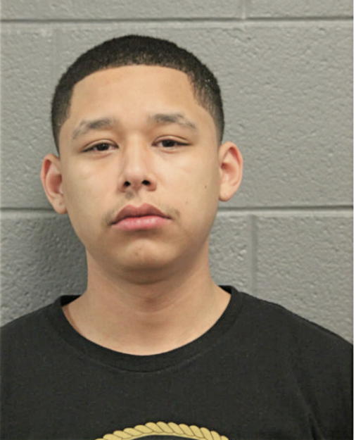 WILLIAM J LUPO, Cook County, Illinois