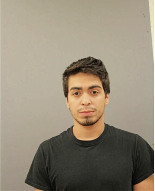 WILLIAM I MENDEZ, Cook County, Illinois