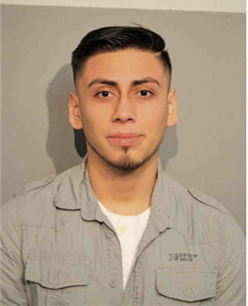 ALEXIS G OCAMPO-ROMAN, Cook County, Illinois