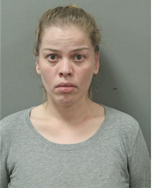 MELANIE E RAMIREZ, Cook County, Illinois