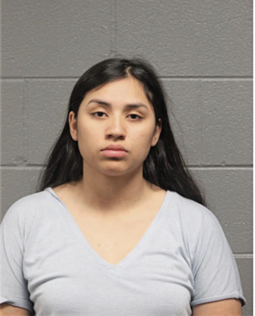 ALEXANDRA F RENDON, Cook County, Illinois