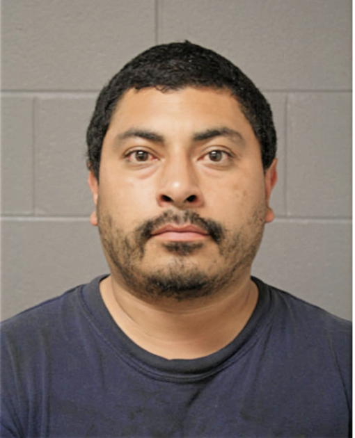 CESAR J SANCHEZ, Cook County, Illinois
