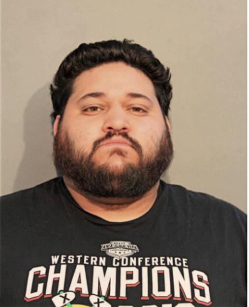 DANIEL E VIDAURRETA ALVAREZ, Cook County, Illinois