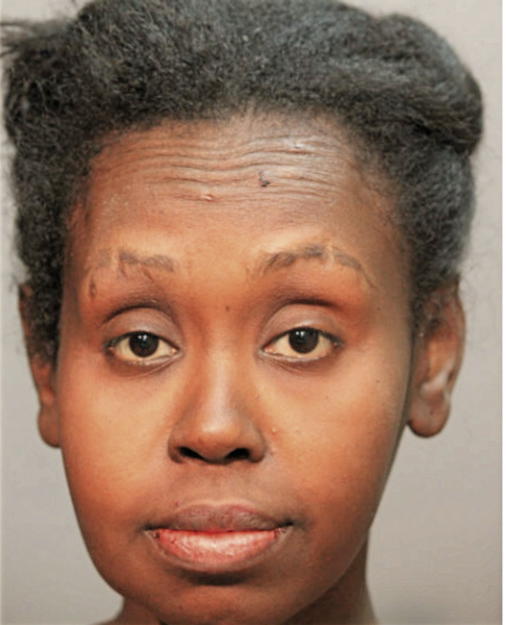 EMBAYNESH G WOLDESELASSIE, Cook County, Illinois