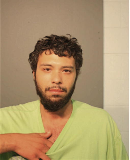PEDRO ALEJANDRO, Cook County, Illinois
