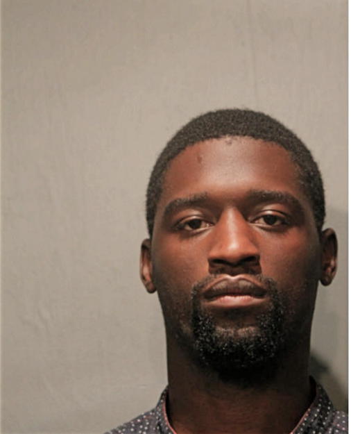 ROBERT P AMERSON, Cook County, Illinois
