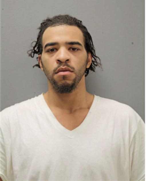 LEVIASSE ANDERSON, Cook County, Illinois