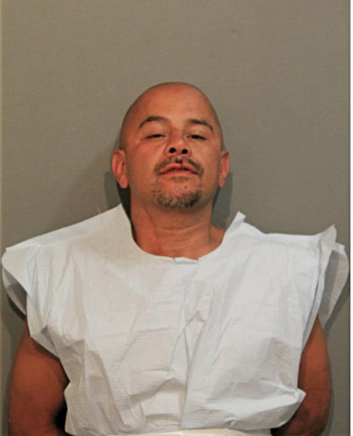 ALFONZO P CAZARES, Cook County, Illinois
