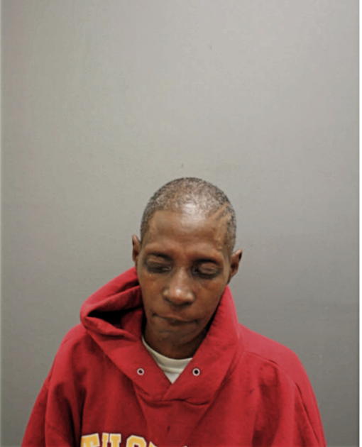 LINDA L COLLINS, Cook County, Illinois