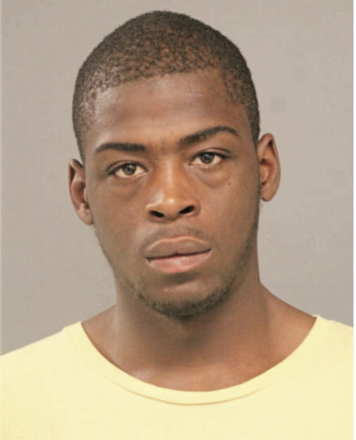 ROBERT P DIXON, Cook County, Illinois