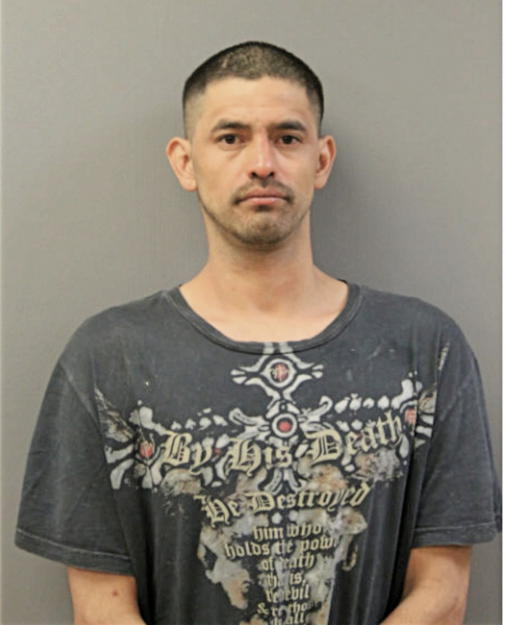 ARTHURO N FABILA, Cook County, Illinois