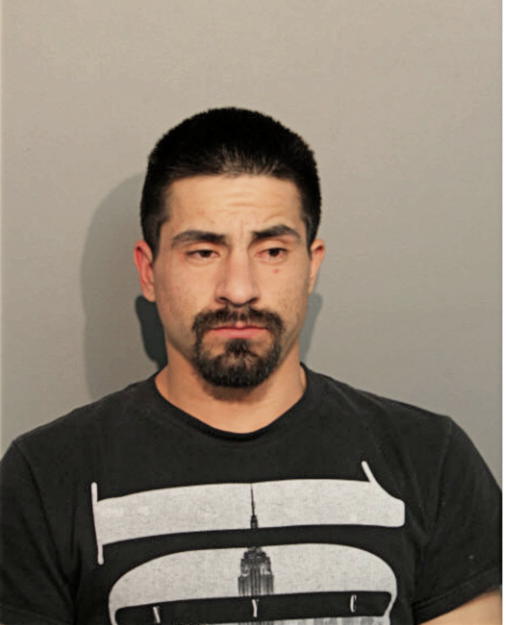 JULIO C GONZALEZ, Cook County, Illinois