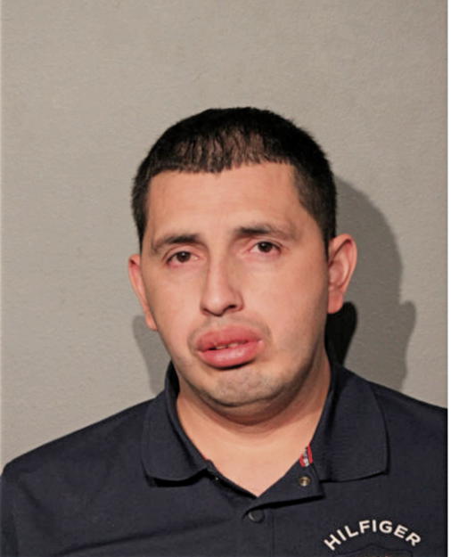 DIAZ GONZALO, Cook County, Illinois