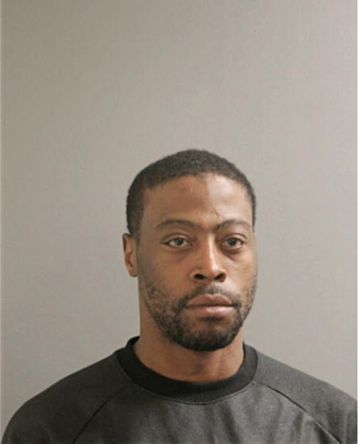 MICHAEL P GOODMAN, Cook County, Illinois