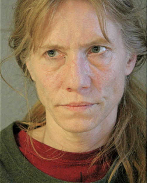 DOLORES J GREISHABER, Cook County, Illinois