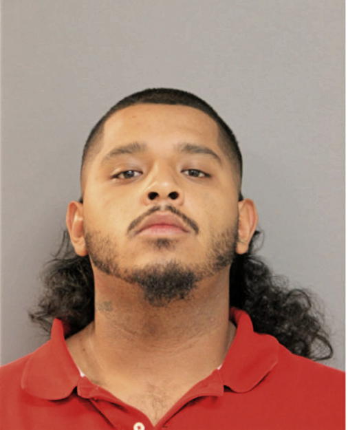 SALVADOR GUILLEN, Cook County, Illinois
