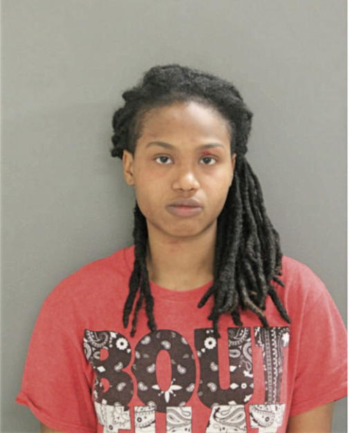AARICKA S HUDSON, Cook County, Illinois