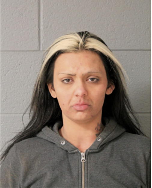 NICHOLE S JOHNS, Cook County, Illinois
