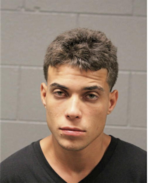 JESUS J MENDEZ, Cook County, Illinois