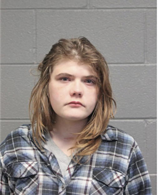 MARY A NORMAND, Cook County, Illinois
