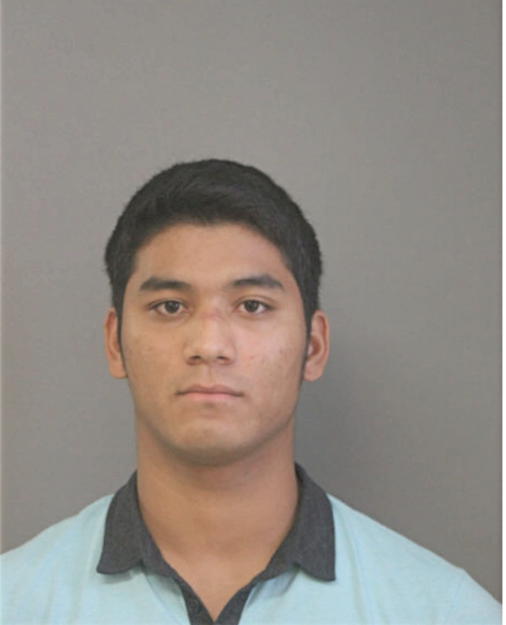 LUIS A ORTIZ, Cook County, Illinois