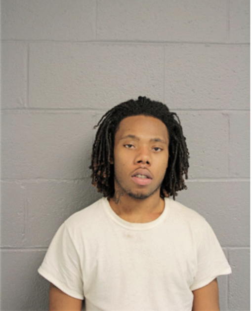 ERIC L PERRY, Cook County, Illinois