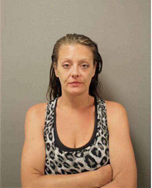 AMBER R RAMIREZ, Cook County, Illinois