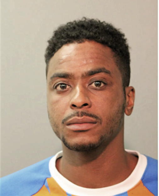 MICHAEL L RICHARDS, Cook County, Illinois